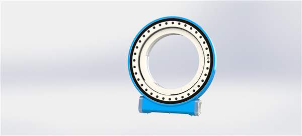 回轉(zhuǎn)驅(qū)動(dòng)的滾道會(huì)受損嗎？滾道受損原因及預(yù)防措施